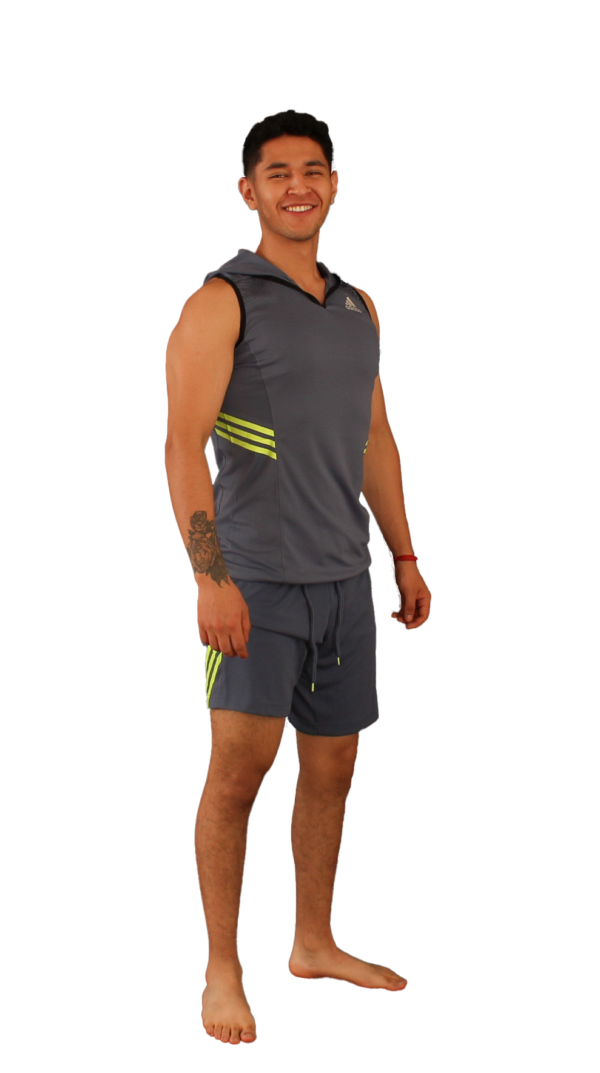 Tank hoody signature
