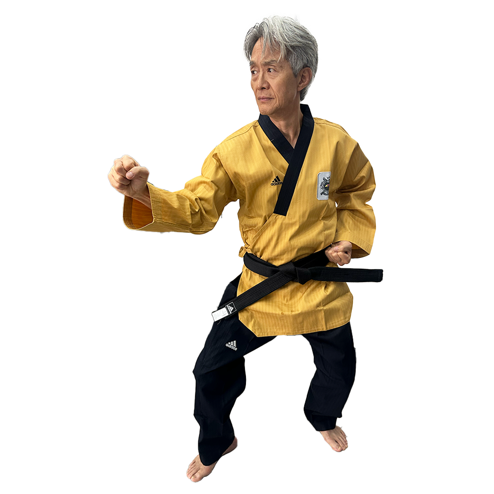 Adi-poomsae premium